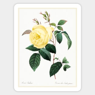 Yellow Rose Sticker